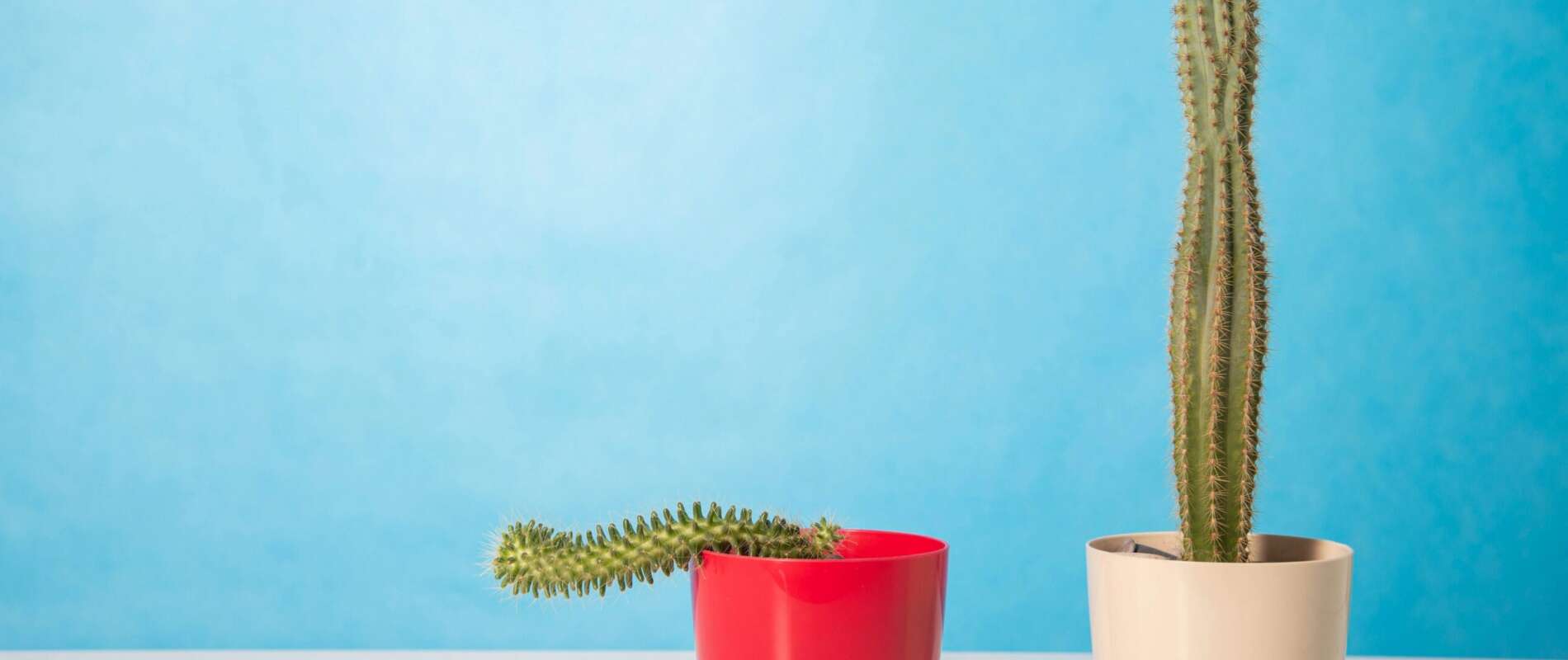 Take the Next Step Toward Better Sexual Health